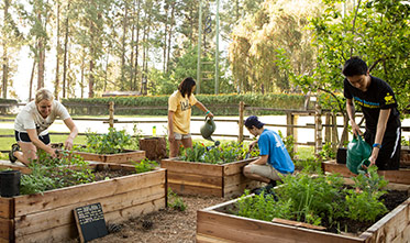 UCLA students in a community gardening plot